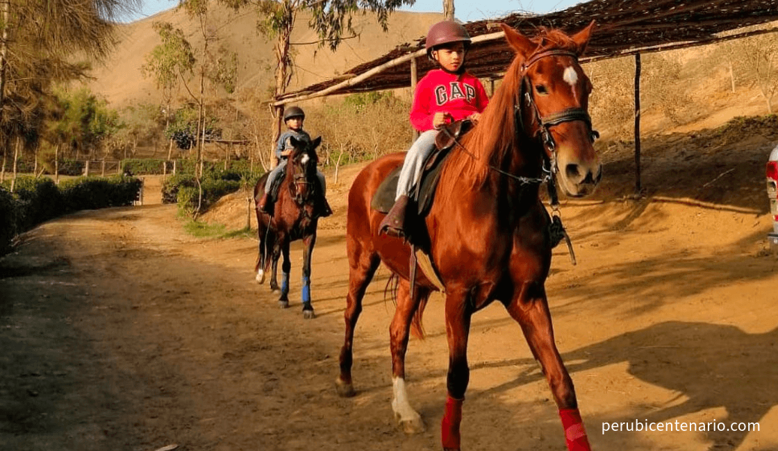 Paseo a caballo en las Cabañas de Azpitia